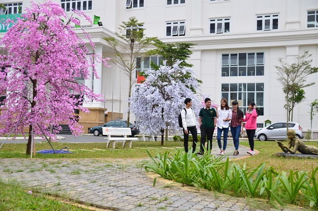 Học khối C tại trường Đại Học Đông Á