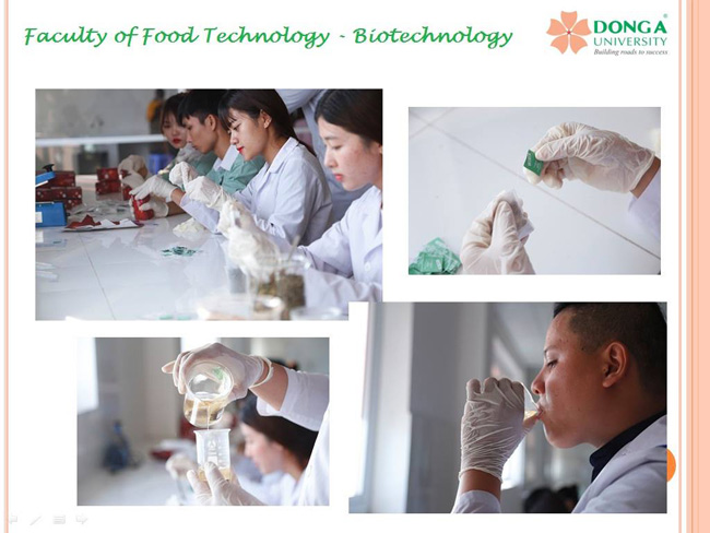 Ngành công nghệ thực phẩm đại học Đông Á