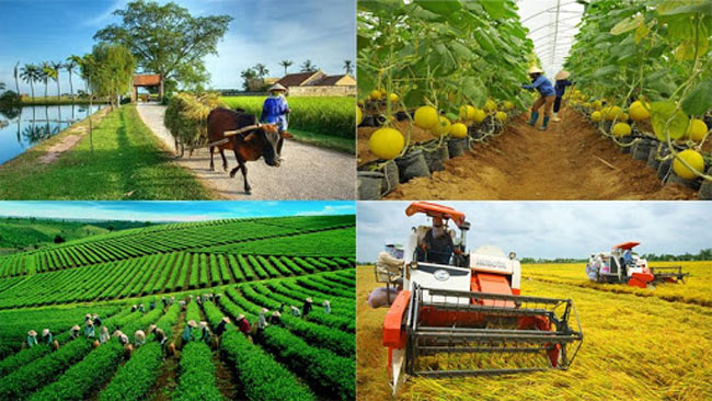 Những thuận lợi và khó khăn của ngành nông nghiệp Việt Nam hiện nay