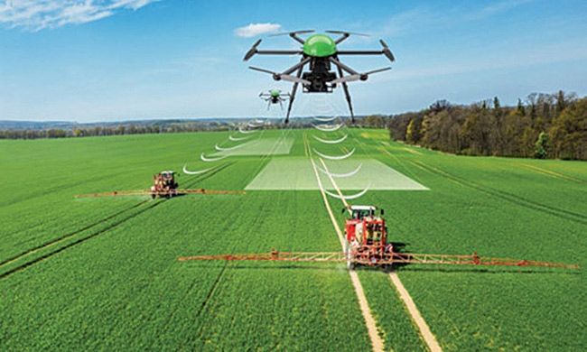 Nông nghiệp công nghệ cao là ngành gì?