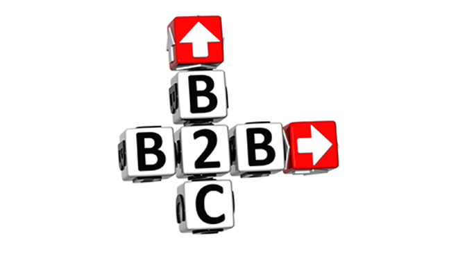 Sự khác nhau giữa ngành thương mại điện tử B2B và B2C  