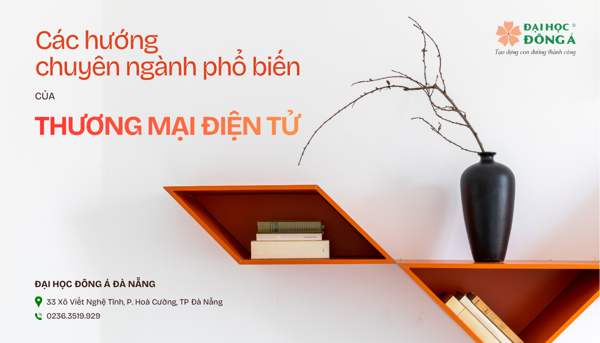 các hướng chuyên ngành phổ biến của thương mại điện tử 2026