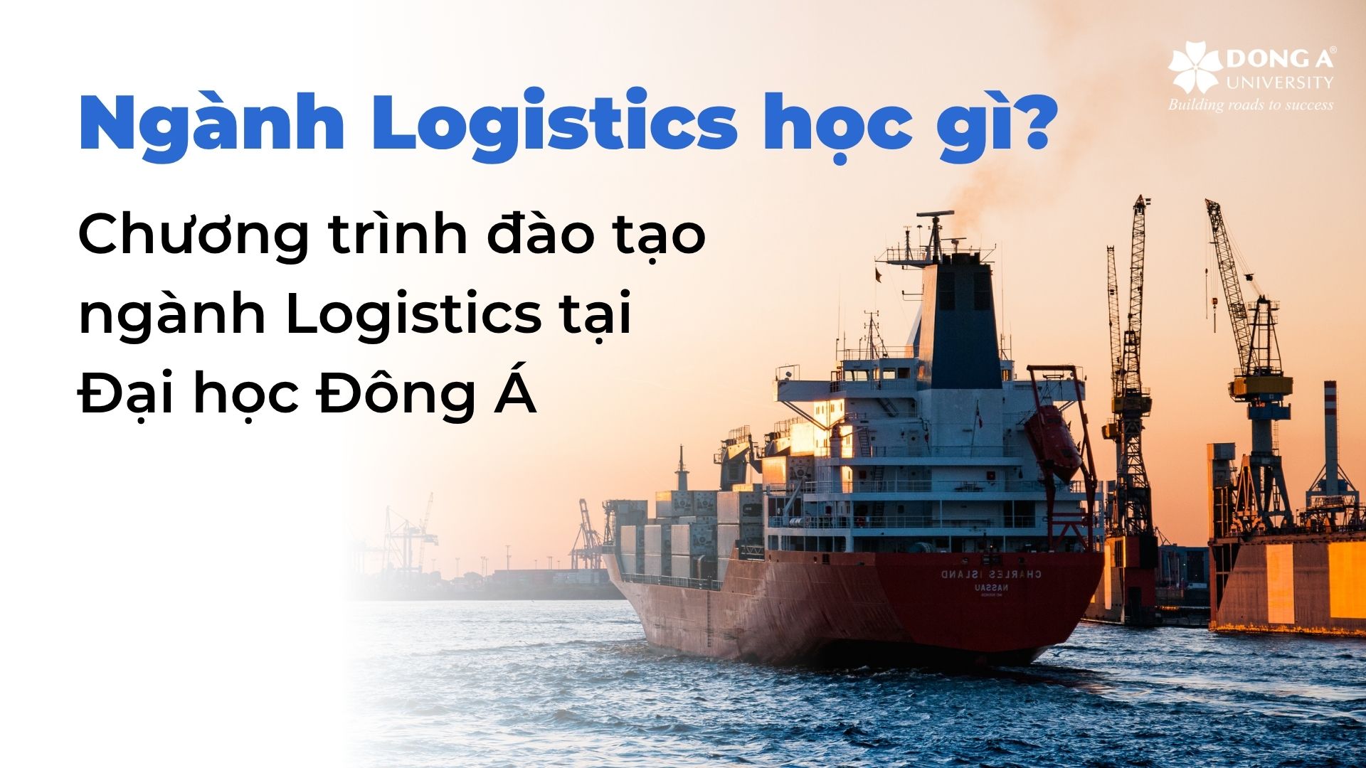 Ngành Logistics học gì? Chương trình đào tạo ngành Logistics tại Đại học Đông Á