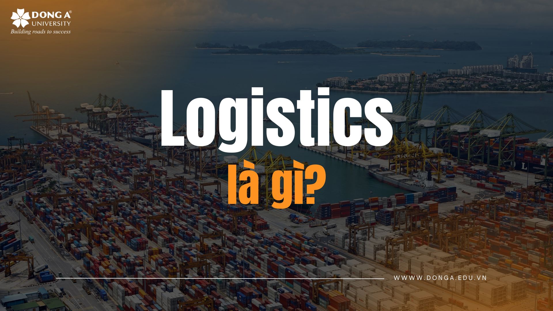 Ngành Logistics và quản lý chuỗi cung ứng là gì