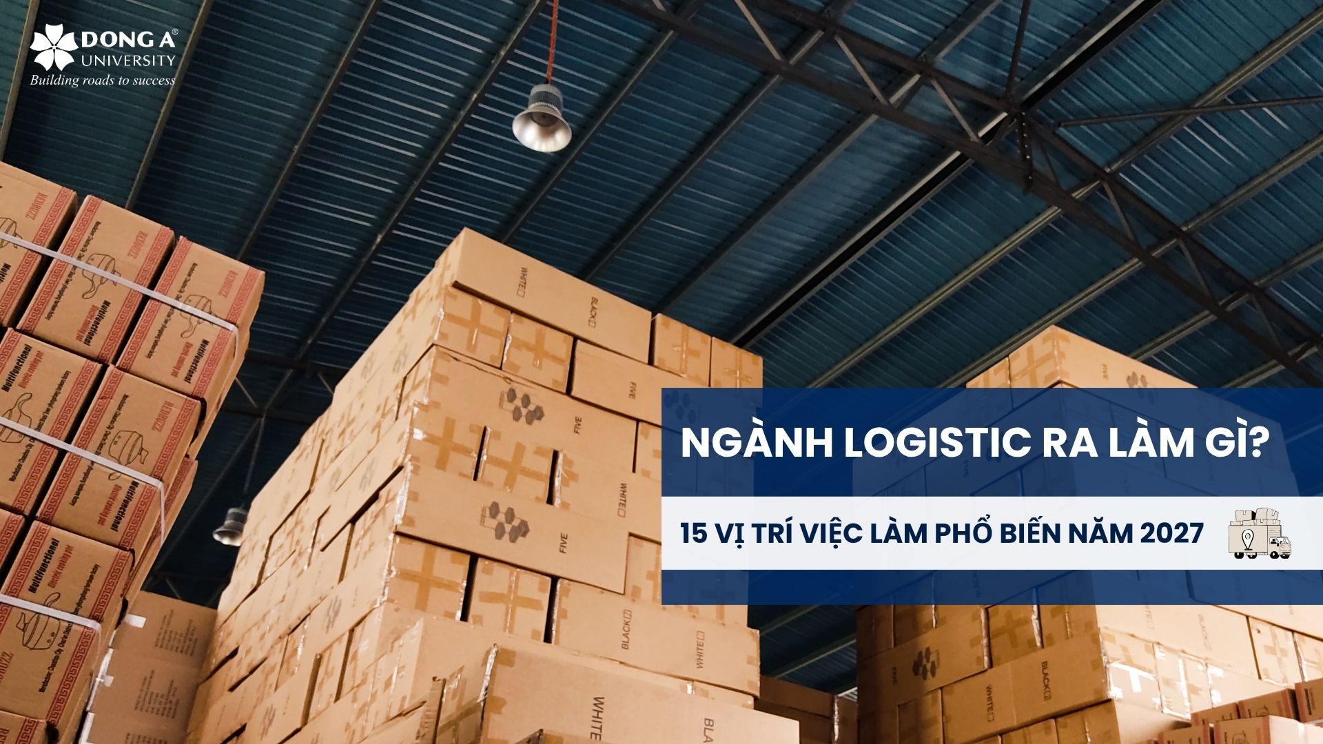 ngành logistics ra làm gì?