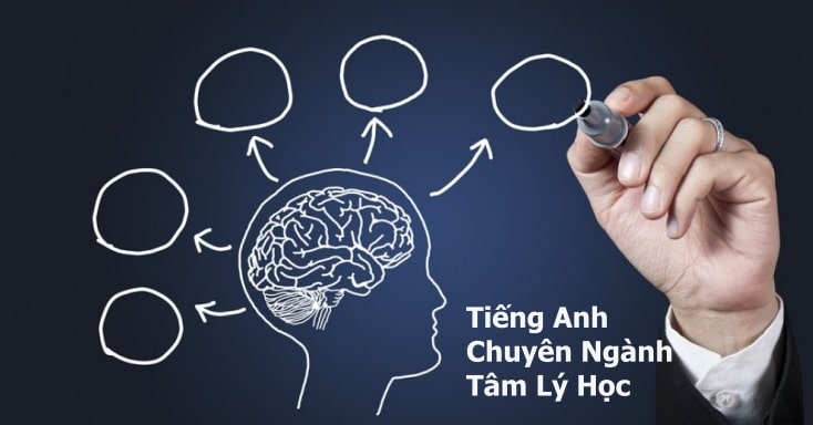 Tiếng anh chuyên ngành tâm lý học