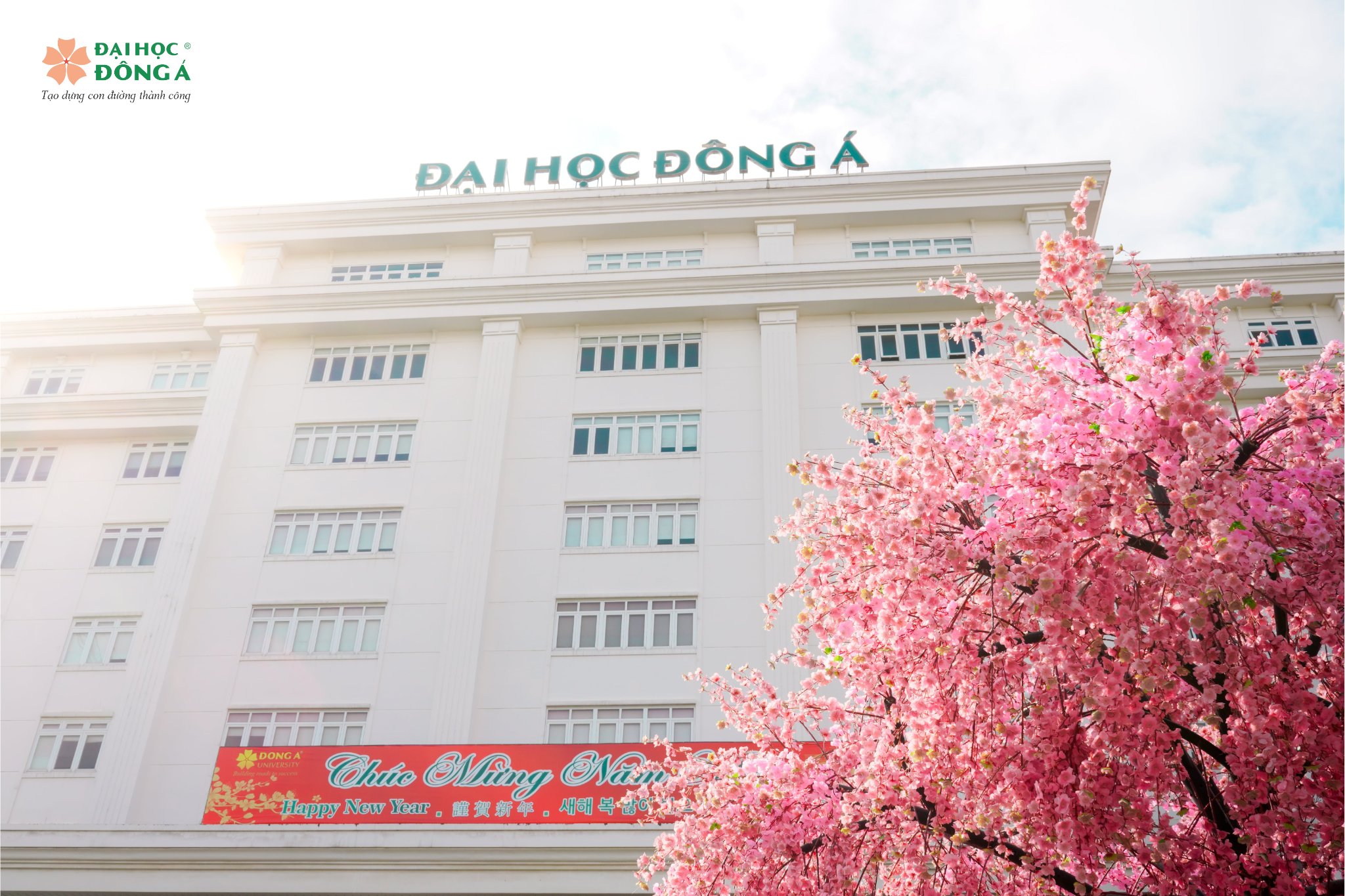 học ngành công nghệ thông tin ra làm gì? Đại học Đông Á